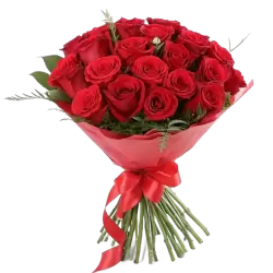 Imagen PNG para descargar